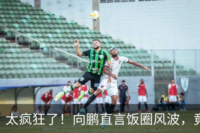 太疯狂了！向鹏直言饭圈风波，竟被“偶像粉”怒怼！